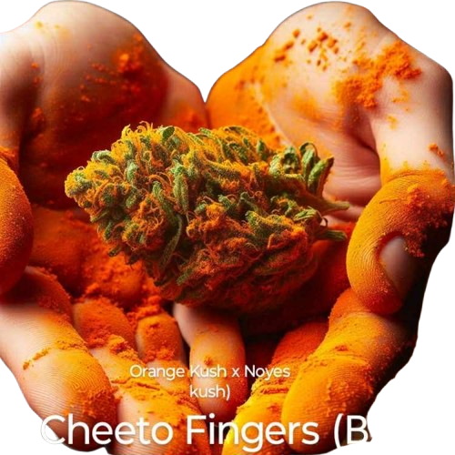 Cheeto Fingers